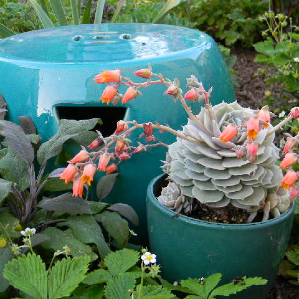 Ornamental Planters