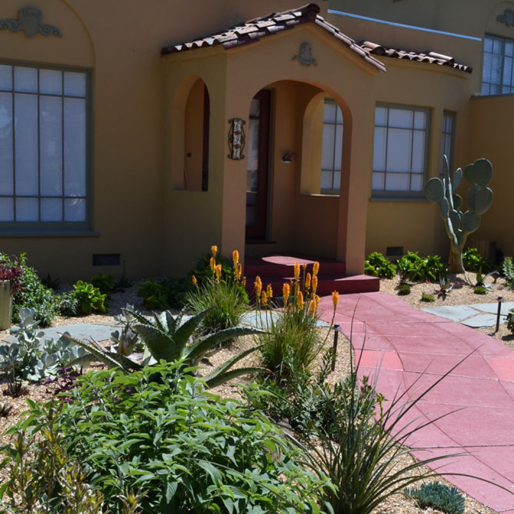 Dry Garden Magic