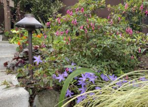 Vignette of flowers